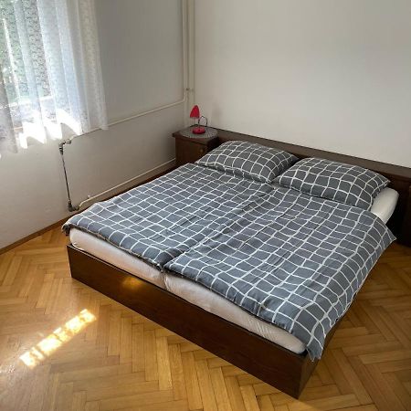 Iva Apartments Novigrad  ภายนอก รูปภาพ
