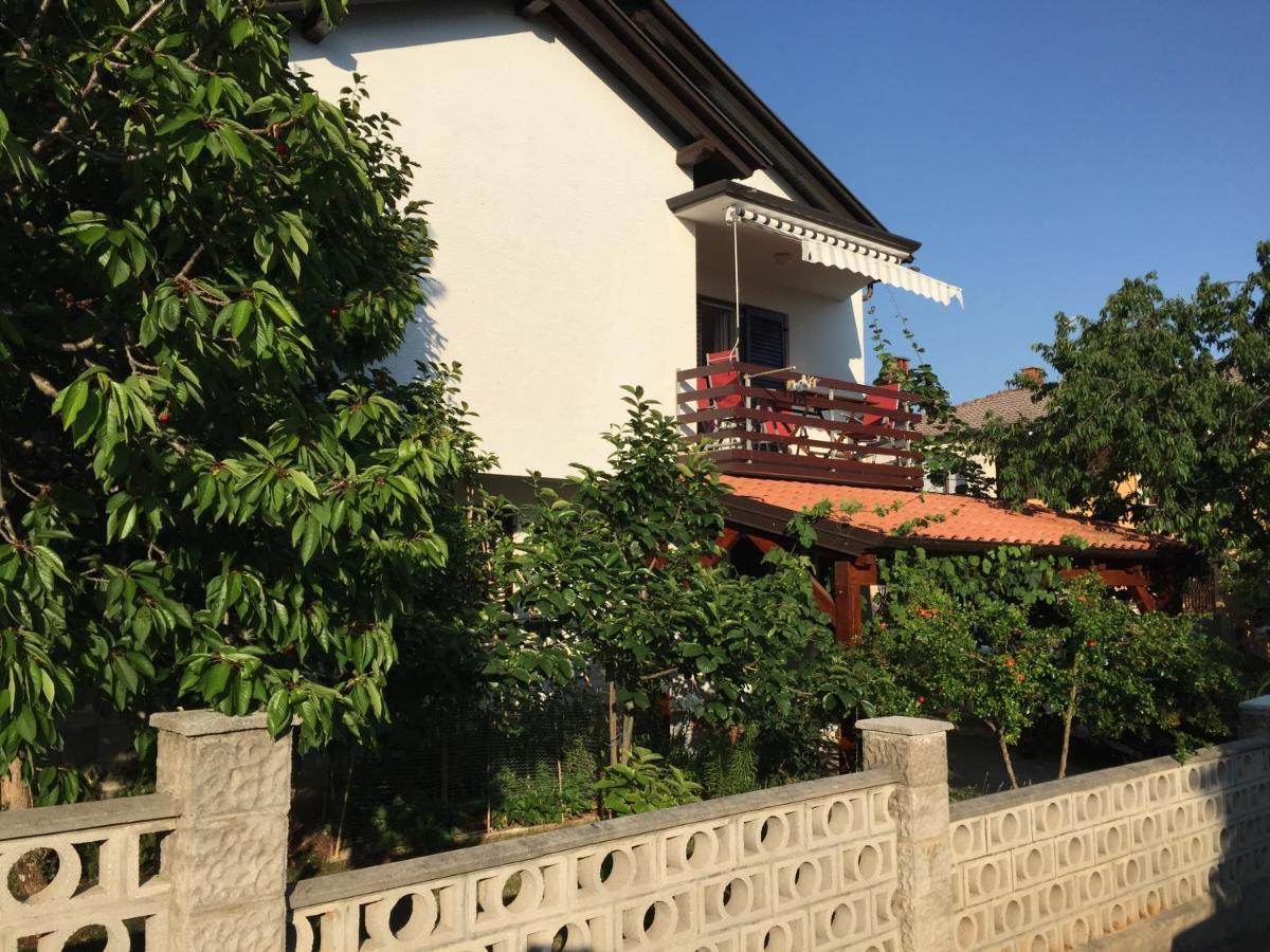 Iva Apartments Novigrad  ภายนอก รูปภาพ