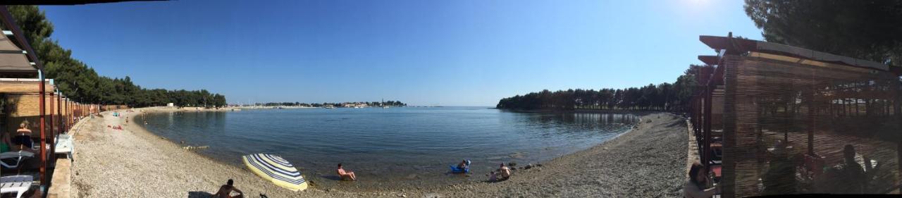Iva Apartments Novigrad  ภายนอก รูปภาพ